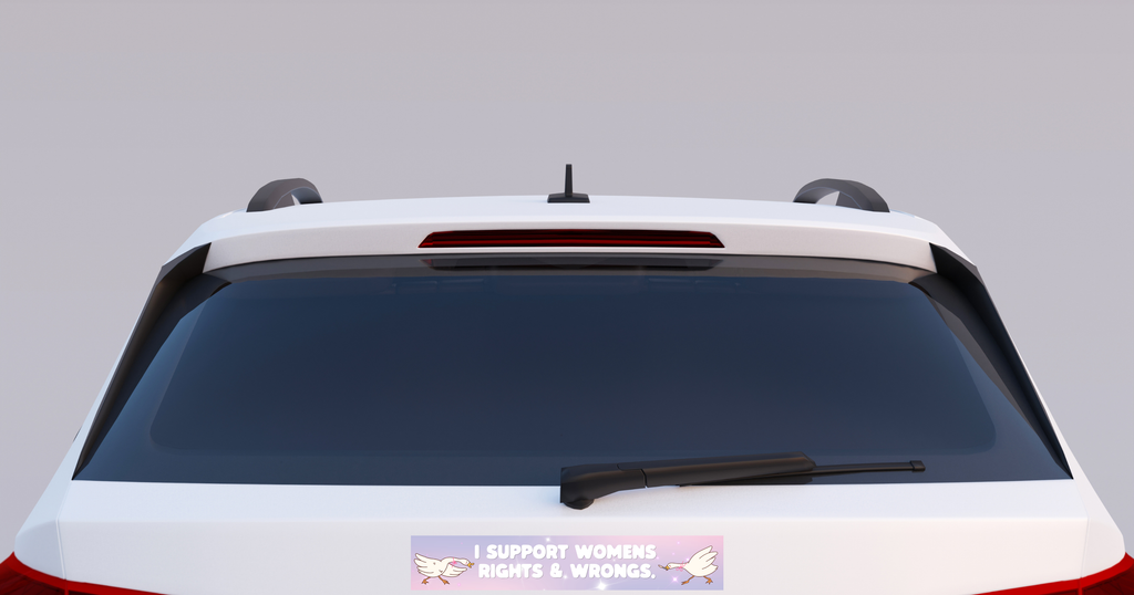 I Support Womens Rights & Wrongs Bumper Sticker