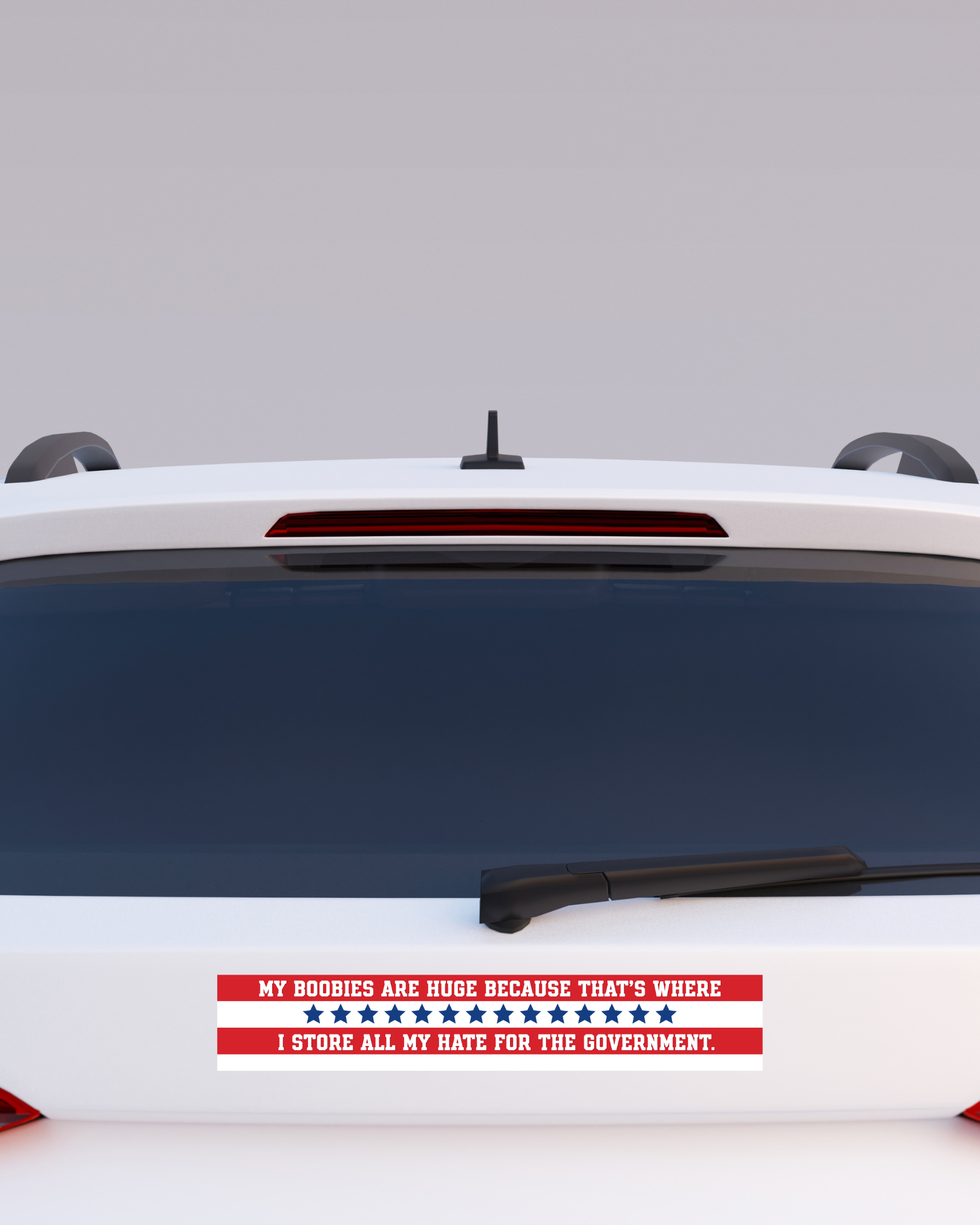 My Boobies Are Huge Because That's Where I Store All My Hate For The Government Bumper Sticker