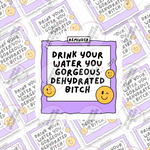 Drink Your Water You Gorgeous Dehydrated Bitch vinyl sticker by Grumpy Greetings Co.