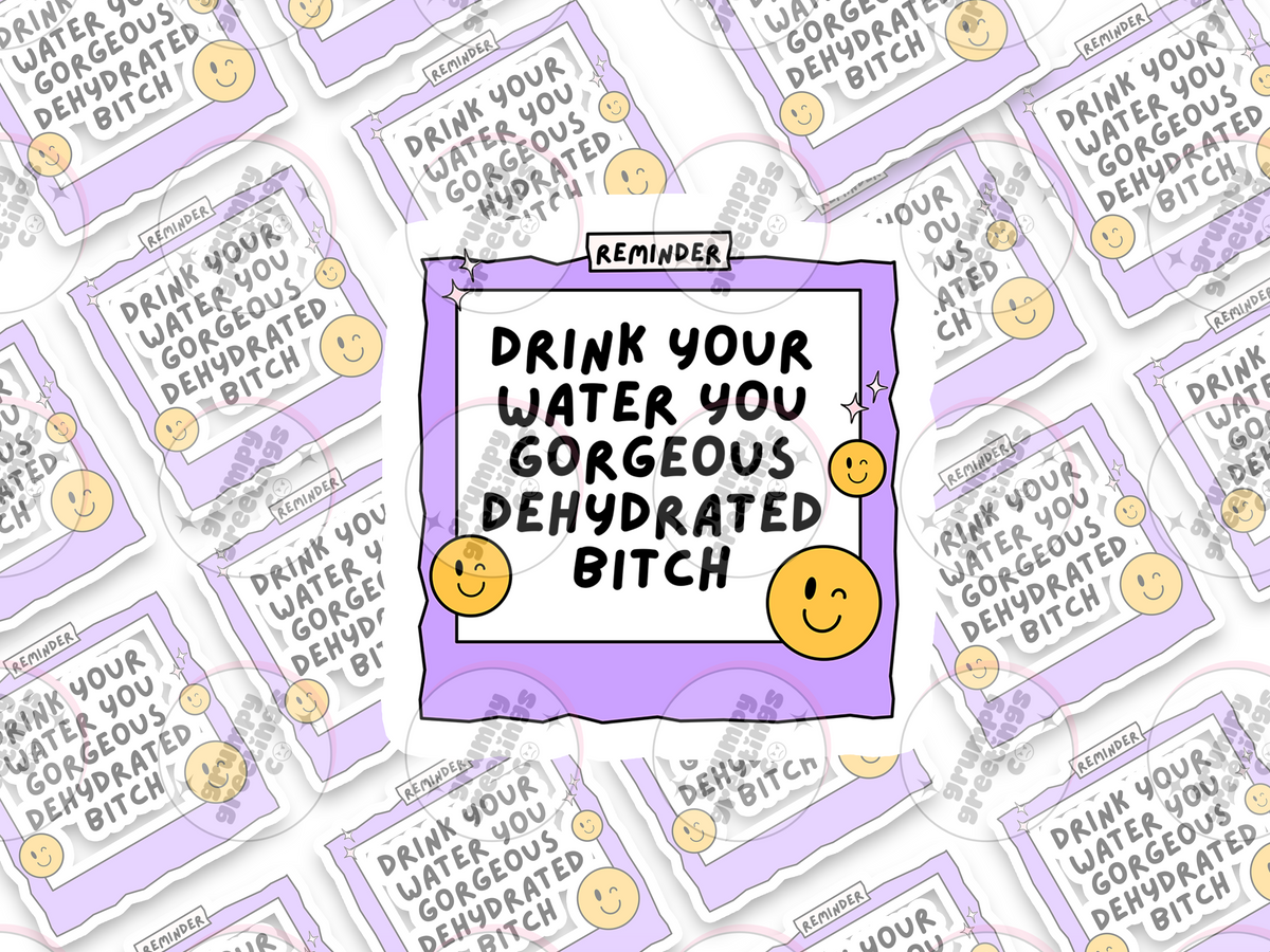 Drink Your Water You Gorgeous Dehydrated Bitch vinyl sticker by Grumpy Greetings Co.
