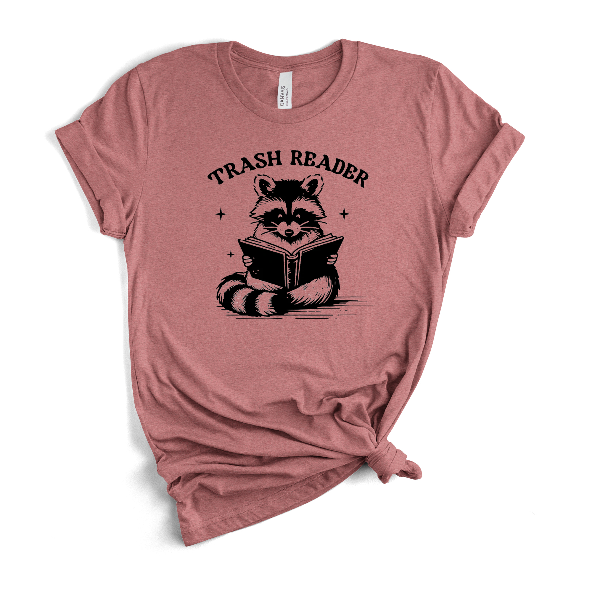 Trash Reader Raccoon T-Shirt in Heather Mauve