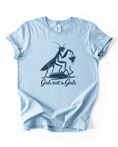 Praying Mantis Divorce Unisex T-Shirt in Heather Light Blue