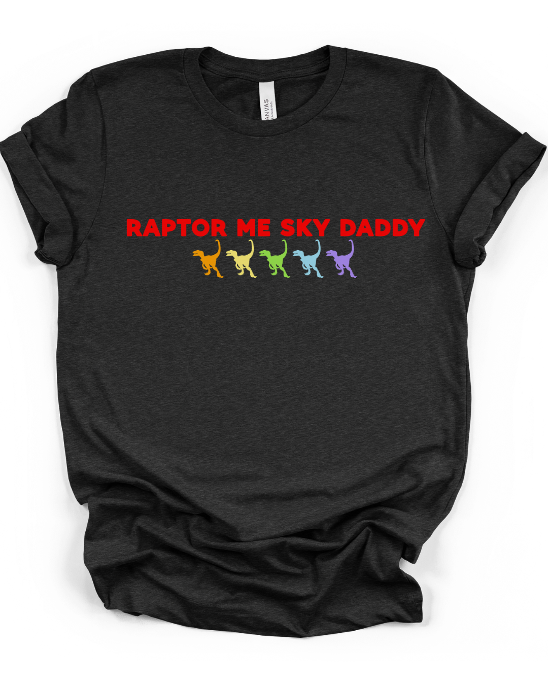 Raptor Me Sky Daddy T-Shirt in Heather Black